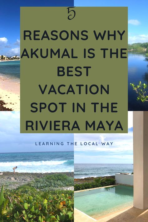 Playa Del Carmen, Oaxaca, Maya Riviera Mexico, Akumal Mexico Things To Do, Mayan Riviera Mexico, Secrets Akumal Riviera Maya, Anniversary Destinations, Akumal Beach, Akumal Mexico