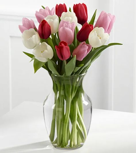 Wedding Flowers Tulips, Tulips Arrangement, Beautiful Flowers Photography, Flower Vase Arrangements, Tulip Bouquet, Tulips In Vase, Vase Arrangements, Beautiful Flowers Garden, Beautiful Flowers Pictures