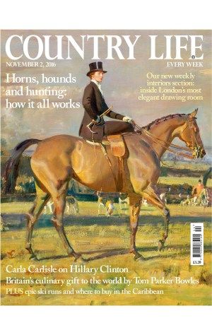 Country Life Magazine (UK) Magazine Cover Page, Country Life Magazine, English Magazine, Life Magazine Covers, Hunting Art, Life Cover, Equestrian Art, Royal Academy Of Arts, Equestrian Sports