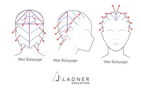 How To Achieve These Top Shades For Summer! - Bangstyle - House of Hair Inspiration Balayage, Hair Sectioning Diagram, Sectioning For Partial Highlight, Balayage Mapping, Balayage Diagram, Balayage Sectioning Technique, Balayage Hair Sectioning, Sectioning For Balayage, How To Section Hair For Balayage