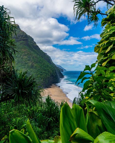 Hawaiian Mountains, Tropical Mountains, Beach Pollution, Napali Coast Kauai, Kauai Hiking, Hawaiian Landscape, Hawaii Water, Hawaii Mountains, Hawaii Nature