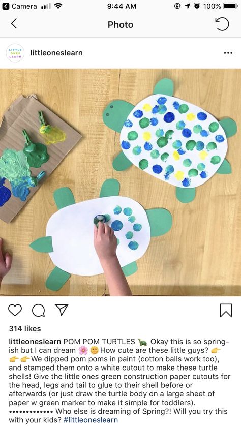 Reptiles Preschool, Pond Life Theme, Reptile Crafts, Pond Crafts, Turtle Activities, Animal Crafts Preschool, Preschool Craft Activities, Pond Animals, Turtle Theme