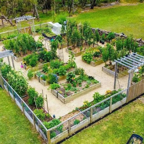 Fenced Vegetable Garden, Jardim Diy, Vegetable Garden Planning, Potager Garden, Backyard Vegetable Gardens, Veg Garden, Backyard Farming, Greenhouse Gardening, Home Vegetable Garden