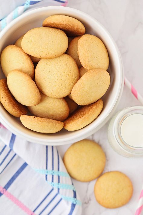 Homemade Vanilla Wafers Nilla, Nila Wafers Recipes, Nilla Wafer Cookies, Homemade Nilla Wafer Recipes, Sourdough Nilla Wafers, Diy Vanilla Wafers, Homemade Wafer Cookies, Vanilla Wafer Cookies Recipe, Homemade Vanilla Wafer Cookies