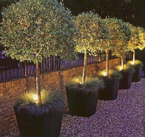 Landscape lighting in planters.. Love this!!! Small Pools Backyard, Small Backyard Garden Design, Yard Ideas Backyard, Flower Mirror, Small Backyard Gardens, Landscape Design Plans, Garden Deco, Outdoor Decor Backyard, Backyard Garden Design