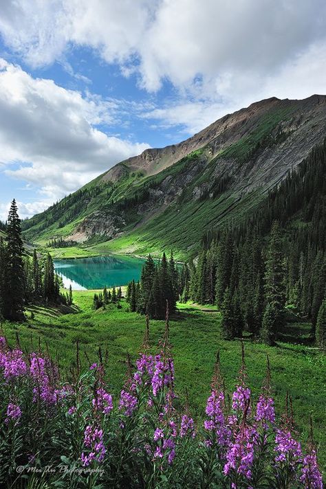 Crested Butte, Colorado Colorado Wildflowers, Crested Butte Colorado, Matka Natura, Crested Butte, Colorado Travel, Alam Yang Indah, Alam Semula Jadi, Beautiful Places In The World, Beautiful Places To Visit