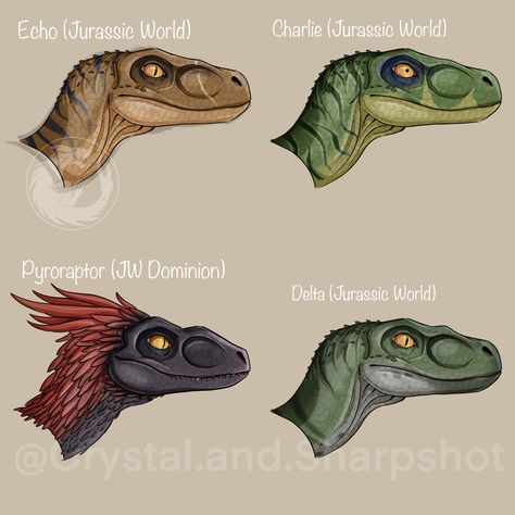 Jurassic World Delta, Raptor Art, Jurassic Movies, Dino Drawing, Avatar Animals, Cool Dinosaurs, Michael Crichton, Jurassic World Dinosaurs, Anatomy Sketches