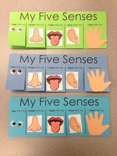 Five Senses Craft - flip book visit www.letsgetreadyforkindergarten.com Five Senses Craft, 5 Senses Preschool, Five Senses Preschool, 5 Senses Activities, Senses Preschool, My Five Senses, Senses Activities, 5 Senses, Five Senses