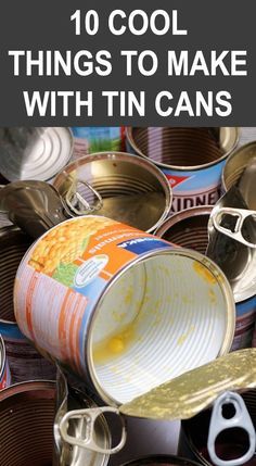 Upcycling Crafts, Upcycle Crafts, Seed Starters, Recycling Projects, Recycle Crafts Diy, Diy Recycled Projects, Recycled Tin Cans, Tin Can Art, Aluminum Can Crafts