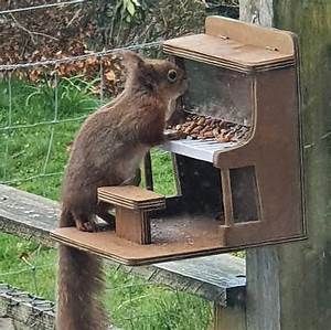 Wildlife Nature, Squirrel House, Squirrel Feeders, Squirrel Feeder, Animal Food, Front Garden Landscape, Diy Bird Feeder, Recycled Garden, Diy Birds