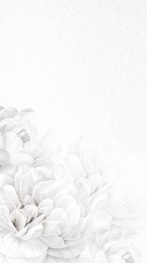 Background Aesthetic Design, Vintage Public Domain, White Flower Background, Wedding Background Wallpaper, Wallpaper Background Aesthetic, Wallpaper Background Design, Lilac Background, Phone Wallpaper Boho, Floral Cards Design