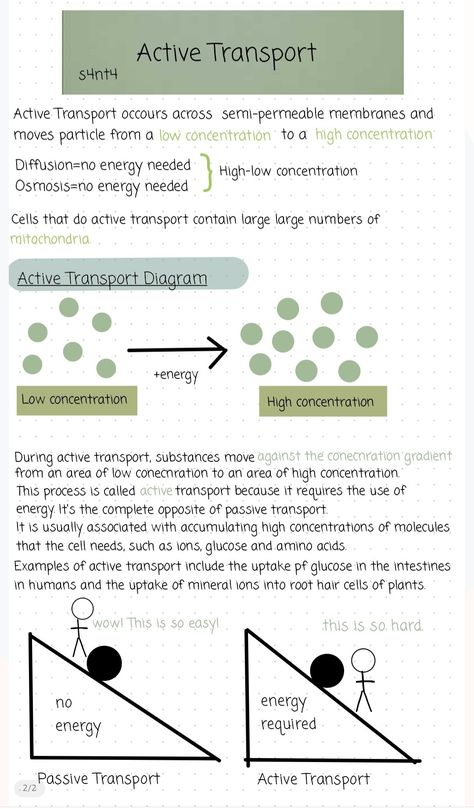 Revision 
Biology Active Transport Notes, Biology Revision Gcse Flashcards, Passive Transport Notes, Cellular Transport Notes, Gcse Combined Science Revision, Active Transport Biology Notes, Osmosis And Diffusion Notes, Cell Transport Notes, Biology Revision Gcse Aqa Paper 1