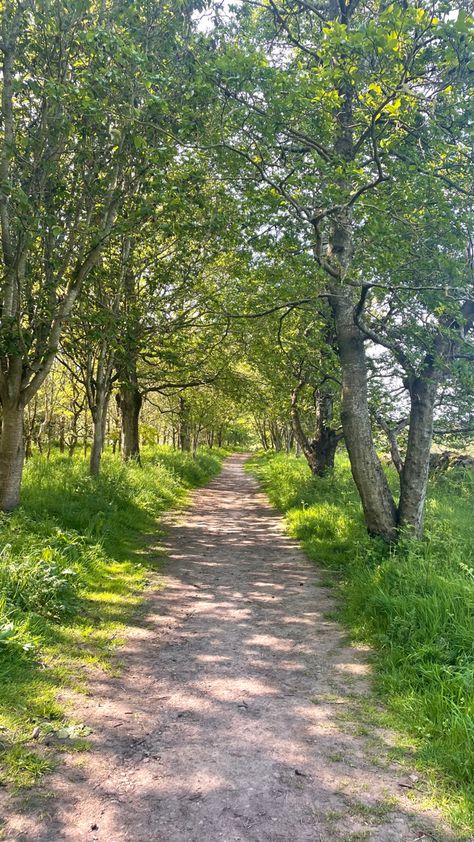 Nature, Walk Outdoors Aesthetic, Vision Board Pictures Nature, Walks In The Woods, Walking Astethic, Summer Walks Aesthetic, Nature Walks Aesthetic, Going On Walks Aesthetic, Walking Asethic