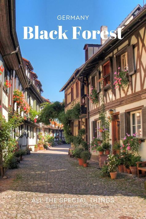 Places In Germany, Medieval Towns, Scotland Culture, Mythical Beings, Vacation 2024, Inspiring Nature, Black Forest Germany, European River Cruises, Europe 2024