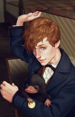 Maple is a wizard who graduated from Hogwarts and now lives with her … #fanfiction #Fanfiction #amreading #books #wattpad Fan Art Ideas, Art Harry Potter, Tapeta Harry Potter, Fantastic Beast, Desenhos Harry Potter, Yer A Wizard Harry, Images Harry Potter, Newt Scamander, Potter Art