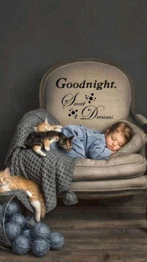 Gudnite Quotes Night, Goodnite Sweet Dreams, Good Night Sweet Dreams Cute Beautiful, Good Night Sweet Dreams Friends, Night Night Sweet Dreams, Sweet Good Night Images, Goodnight Sweet Dreams, Night Sister, Good Night Sister