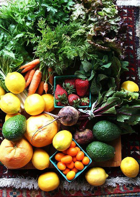 Morning Song Farm CSA — Rainbow, California Organic Farming Photography, Addictive Behavior, Agriculture Photography, Community Supported Agriculture, Organic Market, Farm Photography, Urban Trends, Market Garden, Fruit Photography