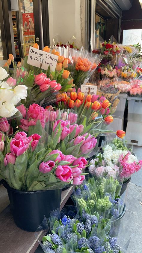 Flowers in New York City Nature, Flower Shop Instagram Story, Nyc Flower Shop, Nyc Garden, Spring Nyc, Flower Feild, Nyc Flowers, City Flowers, Tulips Flower