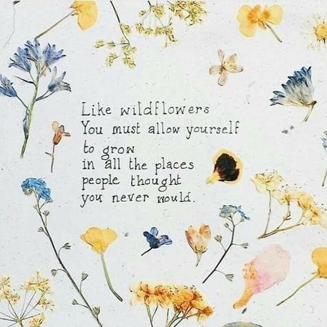 Like wildflowers You must allow yourself to grow in all the places people thought  you never would. 🌱🌱 Inspirerende Ord, الرسومات اللطيفة, The Words, Pretty Words, Beautiful Quotes, Matilda, Beautiful Words, The Mountain, Inspirational Words