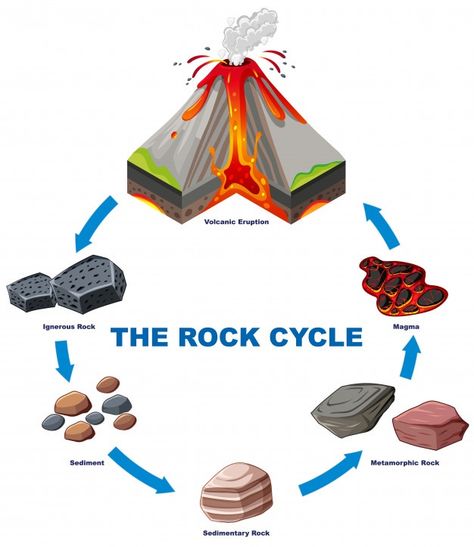 Diagram showing rock cycle Free Vector | Free Vector #Freepik #freevector #education #nature #cartoon #world Science Notebooks, Rock Cycle For Kids, Rock Cycle Diagram, Rock Cycle Project, Rock Cycle Activity, Cycle Drawing, Earth Science Lessons, Middle School Science Experiments, Rock Cycle