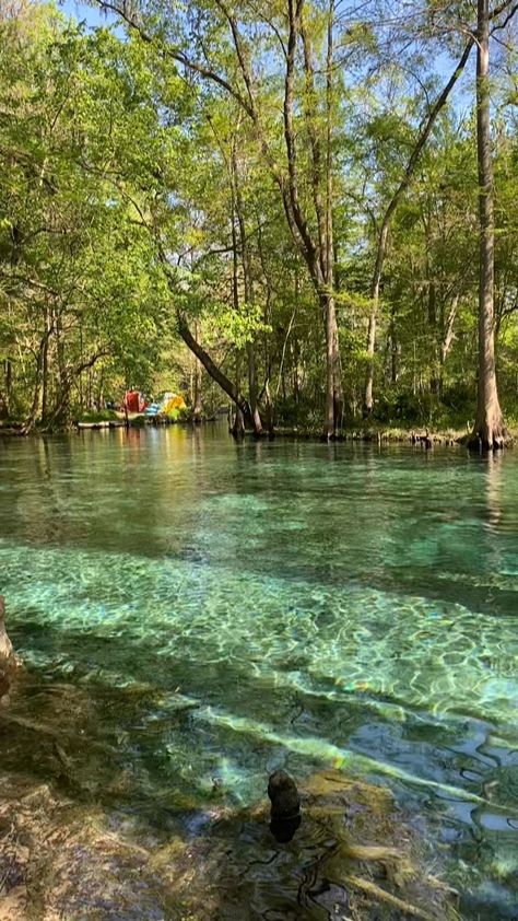 Florida Springs Aesthetic, Moving Manifestation, Springs Aesthetics, Florida Summer Aesthetic, Ginnie Springs Florida, Florida Birthday, Summer In Florida, Springs In Florida, Ginnie Springs