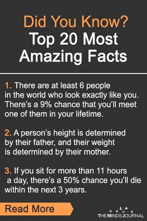 Did You Know? Top 20 Most Amazing Facts - https://themindsjournal.com/did-you-know-top-20-most-amazing-facts/ Cool Psychology Facts, Weird Psychology Facts, Psychology Fun Facts Relationships, Do You Know Facts, Fun Facts About Me Ideas, Weird Facts Random, Psychological Facts Interesting Feelings, Top 3 Facts, Random Facts Interesting