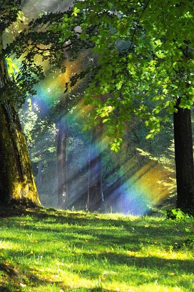 A simple explanation of what rainbows are and why we see them, as well as the different types of rainbows you can see too. #Rainbows Amazing Nature, Matka Natura, Belle Nature, Fotografi Alam Semula Jadi, Foto Tips, Alam Semula Jadi, Enchanted Forest, Belle Photo, Mother Earth
