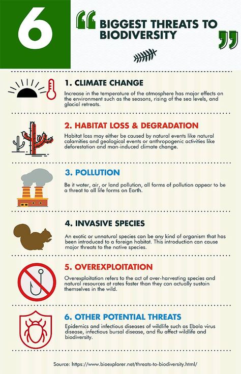 Threats To Biodiversity Infographics Infographic Biodiversity, Environmental Science Lessons, Loss Of Biodiversity, Alam Sekitar, Environmental Analysis, Environmental Activism, Environmentally Friendly Living, Save Our Earth, Power Bill