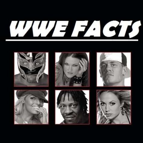 Get lesser known Surprising WWE facts which are shocked you. All WWE facts which you didn’t know. Read interesting WWE facts at Sportycious. Wwe Facts, Jake The Snake Roberts, Rob Van Dam, Chris Benoit, Kurt Angle, Andre The Giant, Jeff Hardy, Shawn Michaels, Shocking Facts