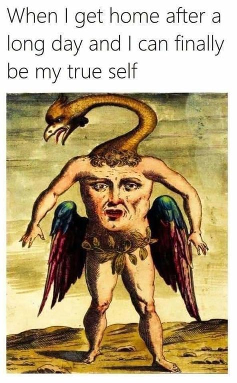 Humour, Flower Art Design, Funny Medieval, Medieval Memes, Art History Memes, Classic Memes, Historical Humor, Funny Art History, Classical Art Memes