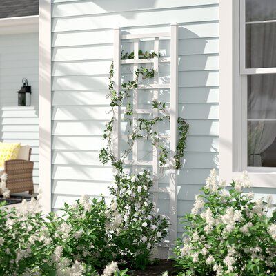 Lay the groundwork for growing vines, vegetables, and flowers with this trellis. Proudly made in the USA from vinyl, it resists weather, UV, fading, and rotting without any upkeep. Its openwork lattice design creates an airy and inviting feel, while a neutral hue helps this trellis blend with any existing arrangement. An anchor kit is included to help this piece free stand. The manufacturer backs this product with a 20-year warranty. Color: White | Arlmont & Co. Reinke 75" H x 22" W Lattice Pane Trellis Backyard, Vinyl Lattice Panels, Panel Trellis, Clematis Trellis, Obelisk Trellis, Wire Trellis, Grape Trellis, Trellis Fence, White Trellis