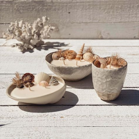 Immerse in the beachy aroma of fresh coconut blended with tantalizing pineapple, a summertime sensation! Experience the exquisite beauty of Saide's handcrafted Ceramic Seashell Candle bowl, adorned with a gold lustre rim. Re-use this eco-friendly ceramic as a homewares piece or can be used more practically as a food serving bowl once finished. We love a multi-purpose gift! Coconut Shell Candle, Ceramic Seashell, Australian Beaches, Surf Wax, Candle Bowl, Pearl Candle, Seashell Candles, Coconut Candle, Fresh Coconut