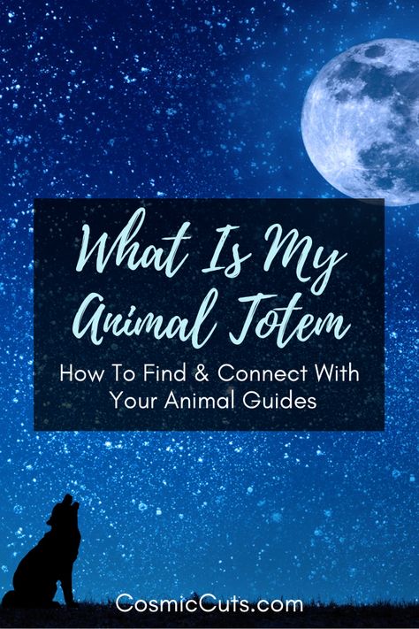 How To Find Your Spirit Animal, Animal Totem Tattoo, Animal Totem Pole, Witchcraft Resources, Animal Totem Spirit Guides, Spiritual Signs, Find Your Spirit Animal, Eagle Totem, Totem Pole Art