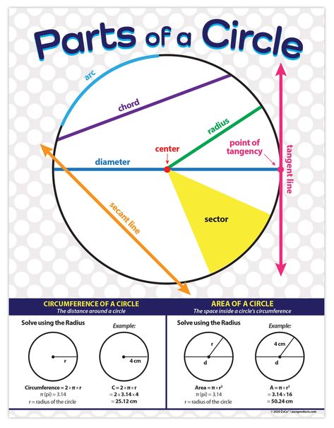 Math Posters Middle School, Geometry Circle, Math Anchor Chart, Parts Of A Circle, Area Of A Circle, Types Of Angles, Math Posters, Teaching Posters, Circle Math