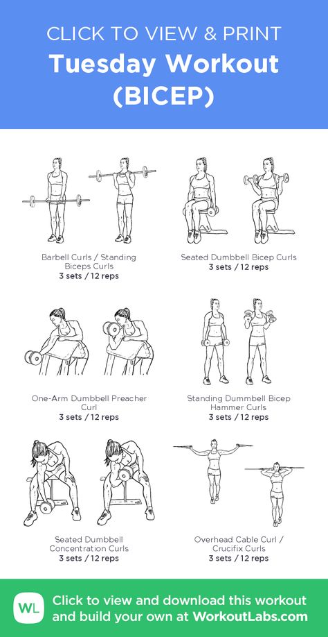 Tuesday Workout (BICEP) – click to view and print this illustrated exercise plan created with #WorkoutLabsFit Bicep Tricep Workout Women, Back And Bicep Workout Gym For Women, Bicep Tricep Workout, Bicep Workout Women, Bicep Workout Gym, Back And Bicep Workout, Tuesday Workout, Bicep And Tricep Workout, Workout Labs