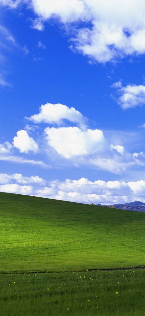 Travel, Nature, Hills Background, Windows Wallpaper, Light Background Images, Windows Xp, Hd Wallpaper, Background Images, Oil Painting