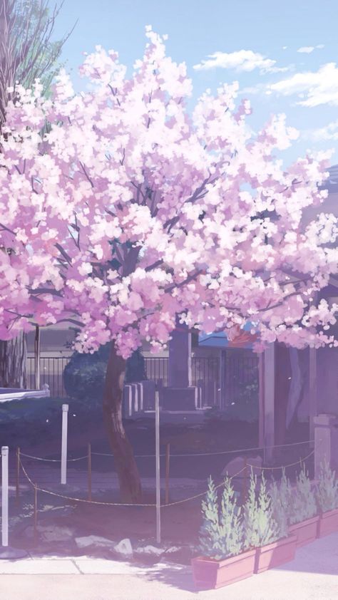 Anime Cherry Blossom Phone Wallpapers - Top Free Anime Cherry Blossom Phone Backgrounds - WallpaperAccess Anime Cherry Blossom, Yuumei Art, Cherry Blossom Wallpaper, Iphone Wallpaper Hipster, Japan Aesthetic, Beautiful Wallpapers Backgrounds, Fantasy Places, Blossom Trees, Wallpaper Anime