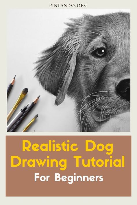 In this step-by-step video tutorial, we will guide you through the process of drawing a realistic dog, perfect for aspiring artists and beginners alike. From the wagging tail to the soulful eyes, capturing the essence of a canine companion on paper may seem daunting at first, but fear not! Our talented art instructor will walk you through every stroke, sharing invaluable tips and techniques that will make the process enjoyable and rewarding... Realistic Dog Drawing, Dog Pencil Drawing, Dog Portrait Drawing, Dog Drawing Tutorial, Abstract Art Lesson, Drawing Tutorial For Beginners, Realistic Animal Drawings, Dog Portraits Painting, Dog Portraits Art