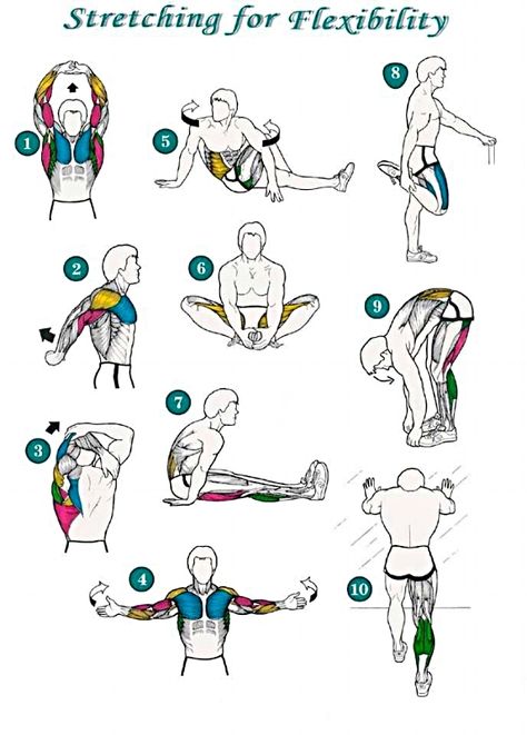 How To Stand Correctly, After Workout Stretches, Lichaamsgewicht Training, Motivație Fitness, Bolesti Chrbta, Trening Sztuk Walki, Latihan Kardio, Latihan Yoga, Stretch Routine