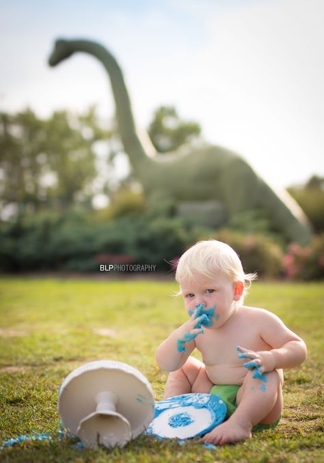 Cake Smash - cake smash photos - first birthday - 1st birthday - birthday photos - dinosaur birthday - dinosaur cake smash - one year posing - Dinosaur Birthday Photo Shoot Ideas, Dinosaur First Birthday Photo Shoot, Dinosaur Birthday Photo Shoot, Dinosaur Photoshoot, Dino Photoshoot, Dinosaur Cake Smash, 2nd Birthday Pictures, Birthday 1st, Dinosaur Photo