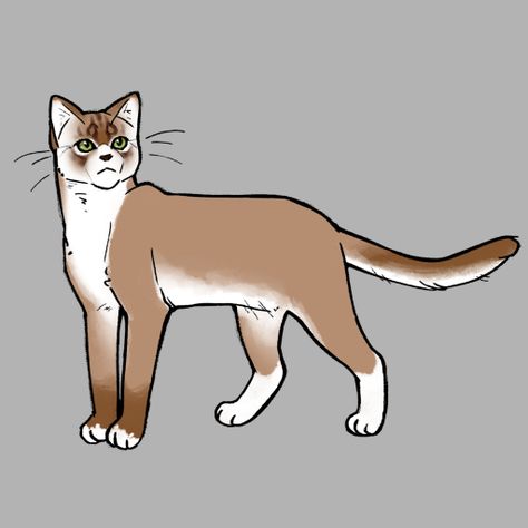 work in progress. intended for quick, vaguely realistic cat creation. atm a little unusuable, but in the middle of creation. Warrior Cats Oc Maker, Cat Profile Picture, Eevee Comic, Profile Picture Maker, Mini Books Diy, Make Your Own Character, Oc Creator, Cute Website, Cat Anatomy