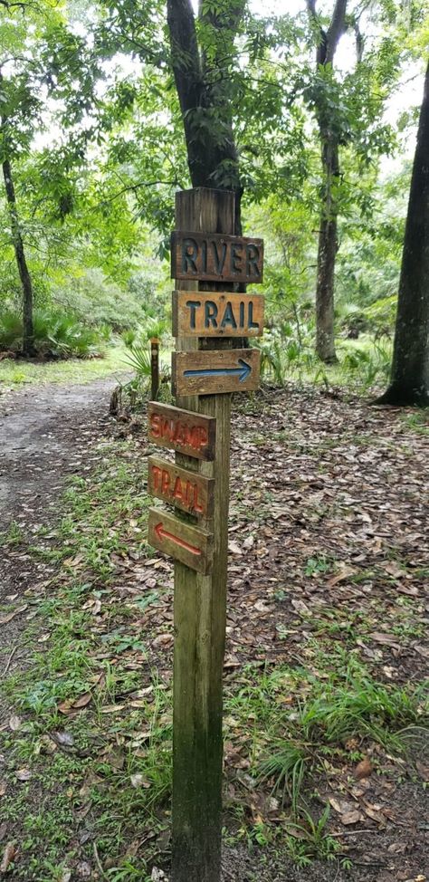 While Silver Springs State Park has miles upon miles of trails split between many different paths, we’re partial to what is nicknamed the Silver River Trail — a combination of the Swamp Trail and River Trail. Nature Trail Signs, Bioluminescent Plankton, Outdoor Bridges, River Retreat, Trail Signs, Places In Florida, Snowshoes, Silver Springs, River Trail