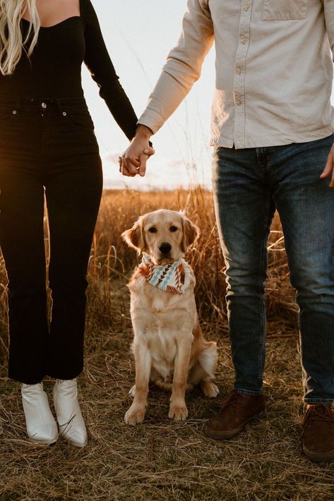 Golden Hour Engagement Photos | Golden Hour Engagement Session | Golden Engagement Photo Inspo | Michigan Engagement Photographer | Golden Hour Michigan Engagements | Engagement Photos in a Field | Field Engagement Photo Inspo | Golden Field Engagement Photos | Aislinn Timmons Photography | Engagement Photos with a Dog | Dog Engagement Photo Inspo | Fun Engagement Session Photos | Engagement Session Photo Ideas | Fun Couples Session Prompts Casual Country Engagement Photos, Couple And A Dog Photo Ideas, Couple Engagement Pictures With Dog, Fun Engagement Photo Shoot Ideas, Dogs In Engagement Photos, Dog In Engagement Photos, Engagement Photo Ideas With Dogs, Engagement Photos With Daughter, Basic Engagement Photos