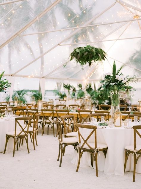 Island wedding in The Florida Keys. Beach wedding reception with clear tent, wooden chairs and tropical greenery centerpieces. #tropicalwedding #islandwedding #weddingreceptionideas Nature, Costa Rica, Tropical Greenery Centerpieces, Beach Tent Wedding, Restaurant Weddings, Greenery Centerpieces, Beach Reception, Outdoor Beach Wedding, Tented Wedding Reception