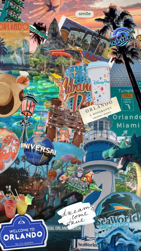 Orlando! Florida is my home state so I hope you like this I put a lot of love into it. 😆 #orlando #florida #fyp #trending #collageart Living In Florida Aesthetic, Orlando Florida Aesthetic, Orlando Aesthetic, Baddie Wallpaper, Florida Aesthetic, Phone Widgets, Summer Wallpapers, Miami Orlando, Seaworld Orlando