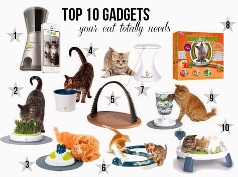 Cool Cat Gadgets, Cats Gadgets, Cat Gadgets, Pet Gadgets, Cat Needs, Halal Food, Cat House Diy, Black And White Tuxedo, White Tuxedo