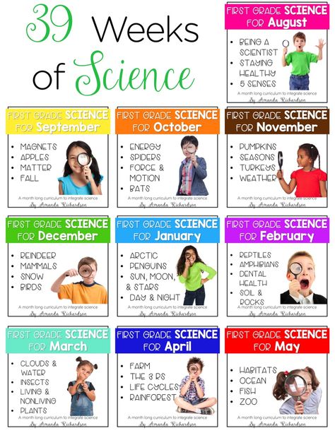 Science for first grade is all about creating hands-on engaging experiences for them! From health, to magnets, to spiders, to weather, to mammals, to objects in the sky and life cycles galore, there is simply so much to explore! Be set with these science for first grade lesson plans and activities for the ENTIRE YEAR!! First Grade Curriculum, First Grade Lessons, 1st Grade Science, First Grade Science, Curriculum Mapping, Homeschool Learning, Science Units, Kindergarten Science, Science Curriculum