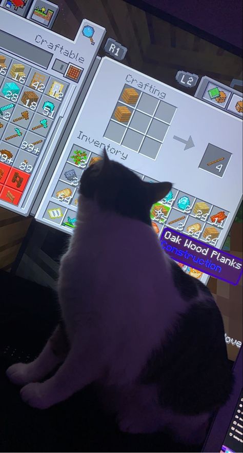 Minecraft With Friends Aesthetic, Minecraft Friends Aesthetic, Playing Minecraft Aesthetic, Cats In Minecraft, Minecraft Wallpaper Aesthetic, Cat In Minecraft, Minecraft Aesthetic Wallpaper, Minecraft Cat House, Minecraft Cats