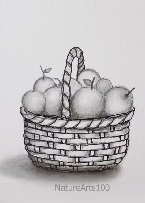 Still life Pencil Shading, Draw a Basket of Fruit, Easy Sketch still-life drawing video .. Still life with pencil shading for beginners Step by Step Pencil Shading For Beginners, Shading For Beginners, Art Reference Photos Poses, Still Life Pencil, Still Life Pencil Shading, Easy Still Life Drawing, Easy Sketches For Beginners, Still Life Sketch, Fruit Sketch