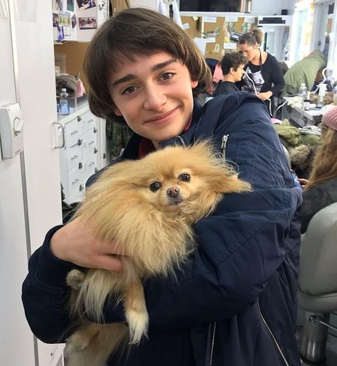 Stranger Things Behind the Scenes Season 3 with Noah Schnapp, Will Byers, Dog, On the Set Stranger Things Fotos, Finn Stranger Things, Stranger Danger, Stranger Things 3, Stranger Things Kids, Stranger Things Actors, Noah Schnapp, Stranger Things Tv, Cast Stranger Things